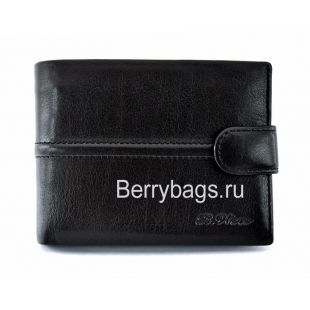 Портмоне мужской кожаный классический Bristan Wero 117348-McCall